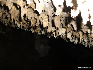 otta Petralia-17-03-2013 10-43-50